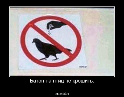 Батон на птиц не крошить.