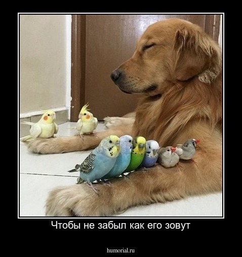 Чтобы не забыл как его зовут