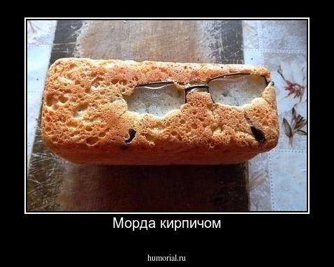 Морда кирпичом