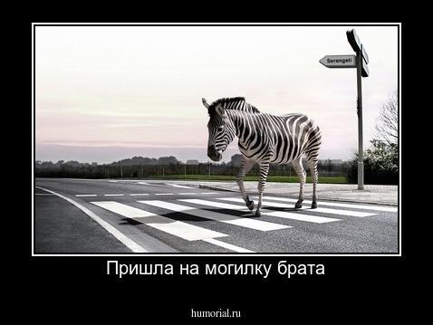 Пришла на могилку брата