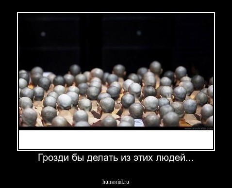 Грозди бы делать из этих людей...