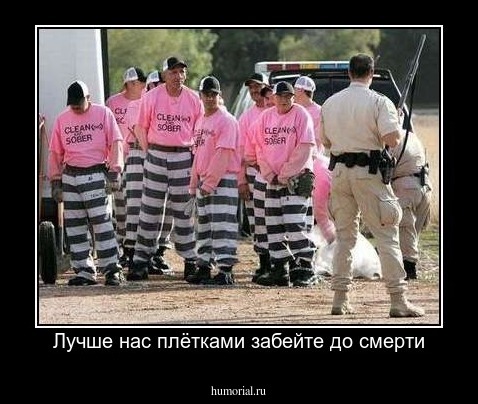 Лучше нас плётками забейте до смерти