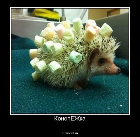КонопЕЖка