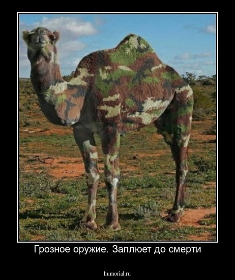 Грозное оружие. Заплюет до смерти