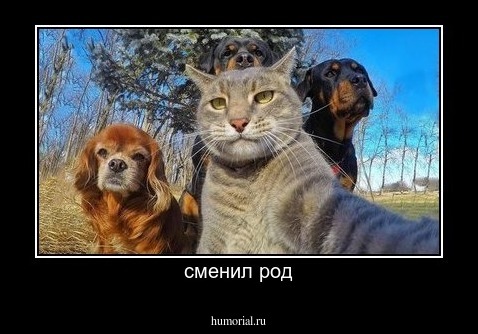 сменил род
