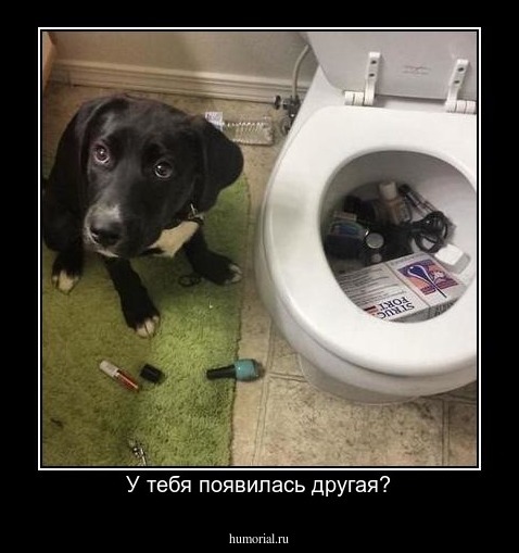У тебя появилась другая?