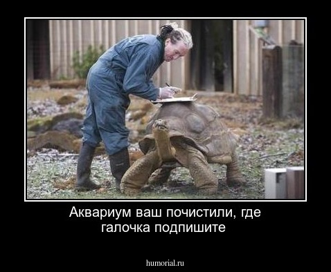 Аквариум ваш почистили, где галочка подпишите