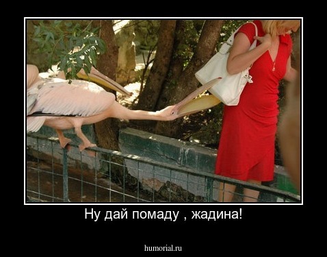 Ну дай помаду , жадина!