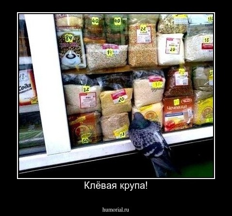 Клёвая крупа!