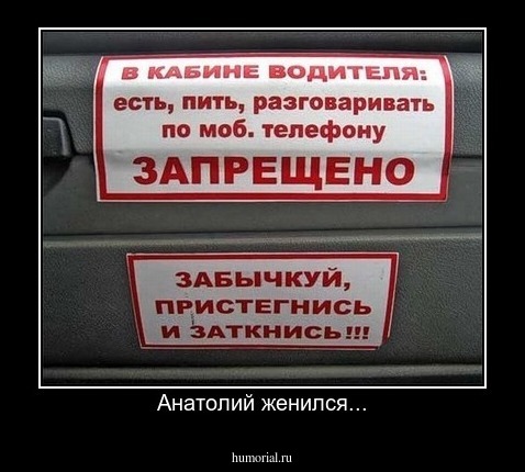 Анатолий женился...