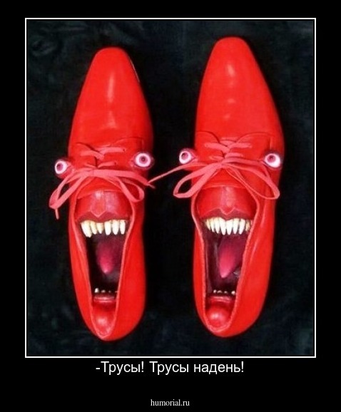 -Трусы! Трусы надень!