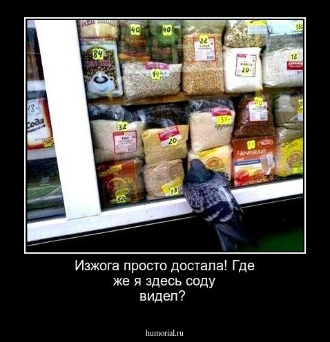 Изжога просто   достала!  Где же я здесь  соду  видел?