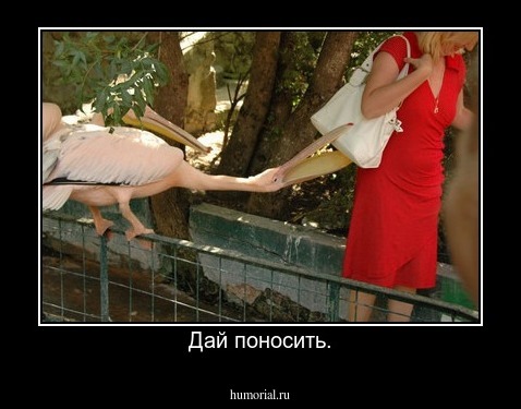 Дай поносить.