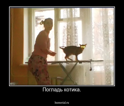 Погладь котика.