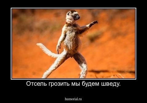 Отсель грозить мы будем шведу.