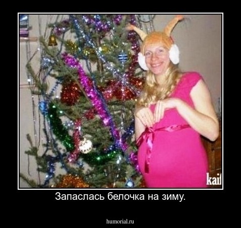 Запаслась белочка на зиму.