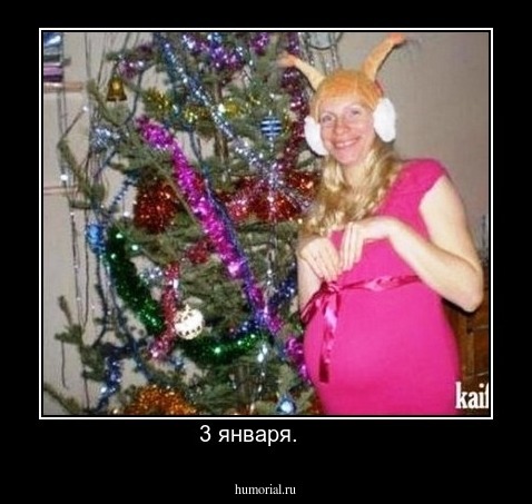 3 января.     