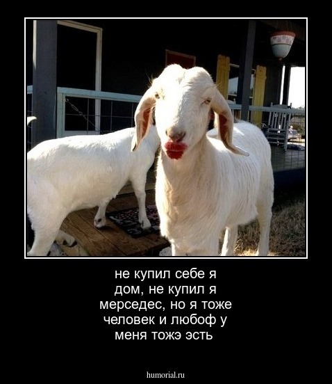 не купил себе я дом, не купил я мерседес, но я тоже человек и любоф у меня тожэ эсть