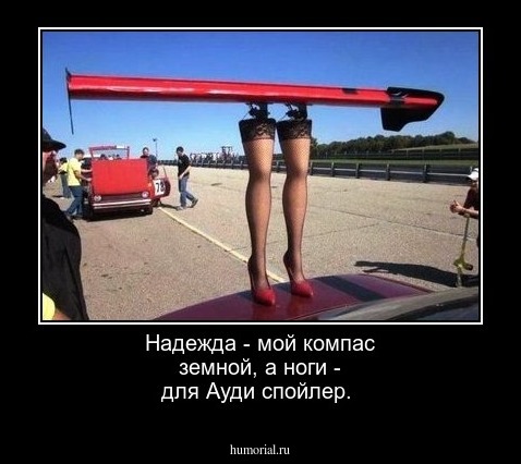Надежда - мой компас земной, а ноги - для Ауди спойлер.