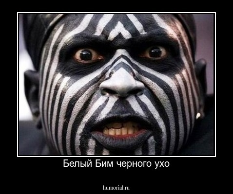 Белый Бим черного ухо