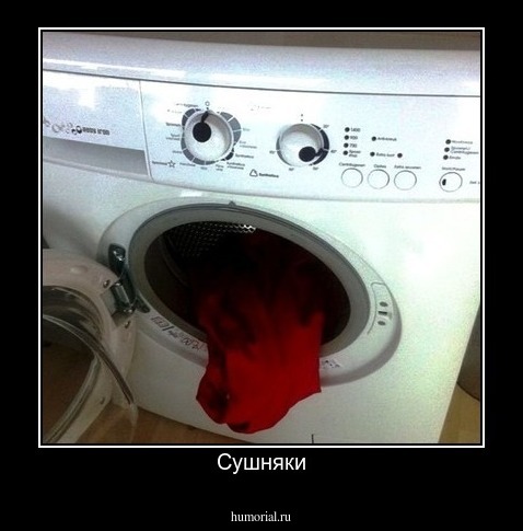 Сушняки
