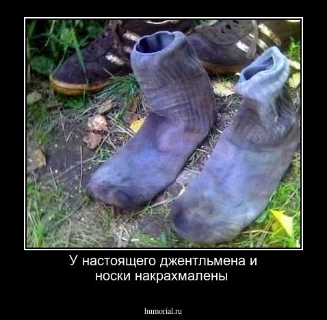 У настоящего джентльмена и носки накрахмалены