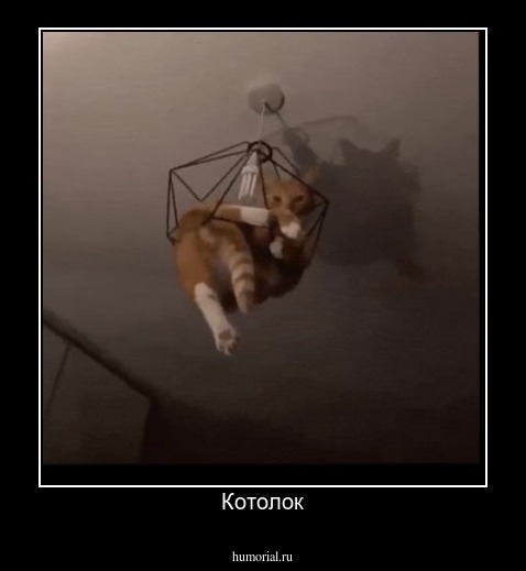 Котолок