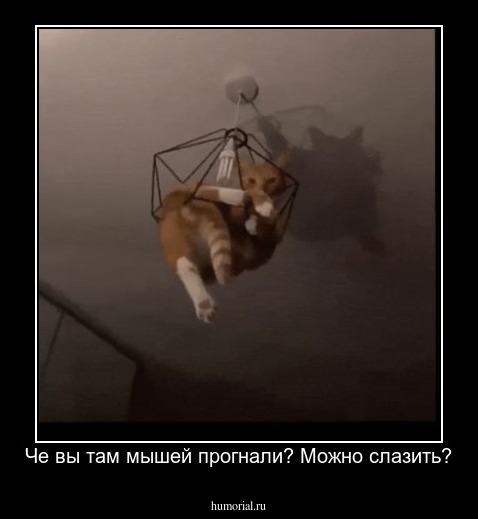Че вы там мышей прогнали? Можно слазить?