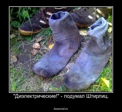 "Диэлектрические!" - подумал Штирлиц.