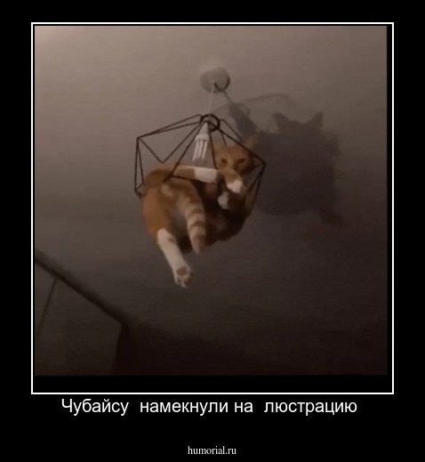 Чубайсу  намекнули на  люстрацию 