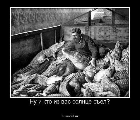 Ну и кто из вас солнце съел?
