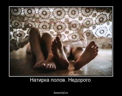 Натирка полов. Недорого 