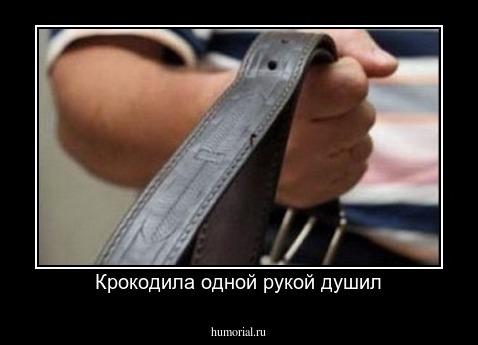 Крокодила одной рукой душил