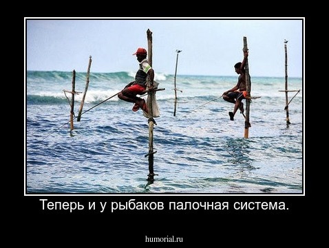 Теперь и у рыбаков палочная система.