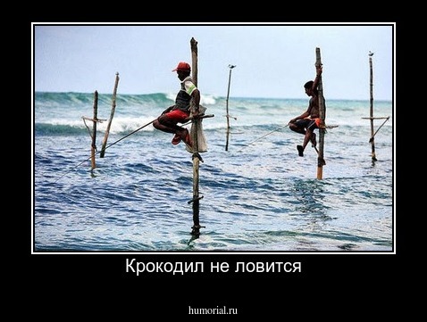 Крокодил не ловится