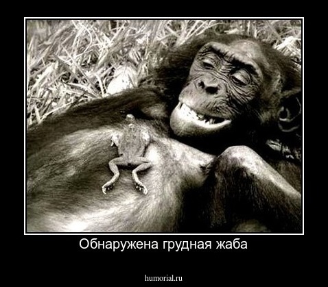  Обнаружена грудная жаба