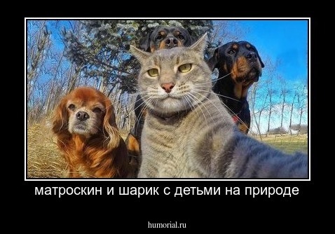 матроскин и шарик с детьми на природе