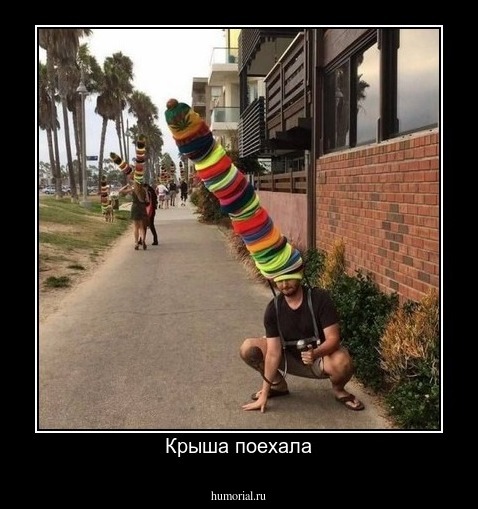 Крыша поехала