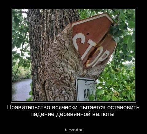 Правительство всячески пытается остановить падение деревянной валюты