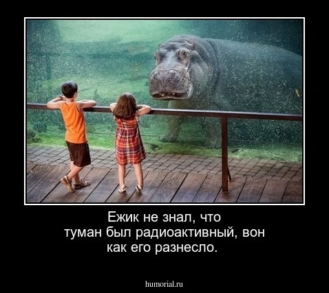 Ежик не знал, что туман был радиоактивный, вон как его разнесло.