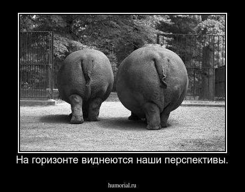 На горизонте виднеются наши перспективы.