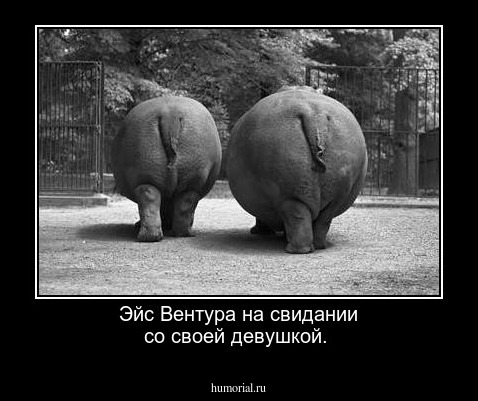 Эйс Вентура на свидании со своей девушкой.