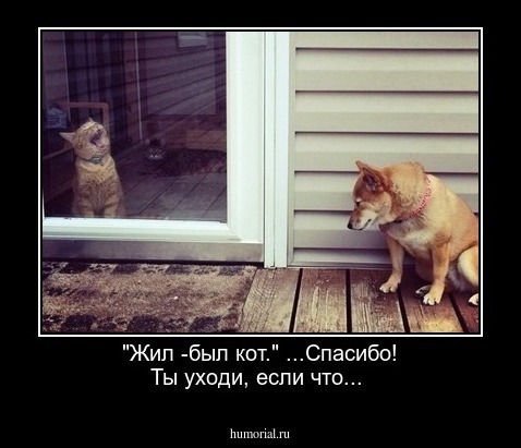 "Жил -был кот." ...Спасибо! Ты уходи, если что... 