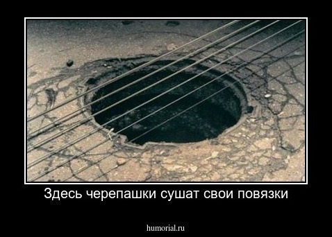 Здесь черепашки сушат свои повязки