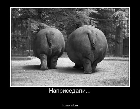Наприседали...