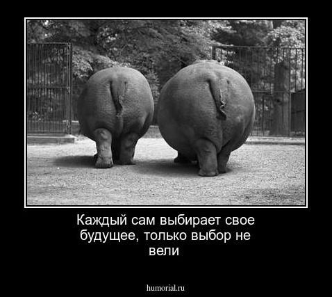Каждый сам выбирает свое будущее, только выбор не вели