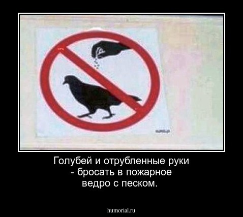 Голубей и отрубленные руки - бросать в пожарное ведро с песком.