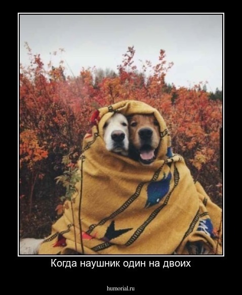 Когда наушник один на двоих