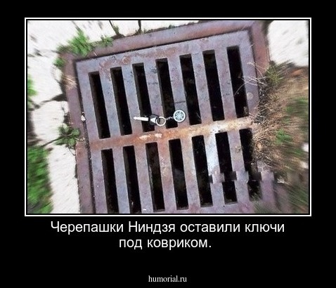 Черепашки Ниндзя оставили ключи под ковриком.