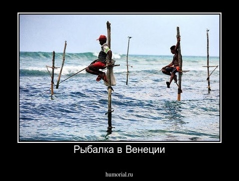 Рыбалка в Венеции